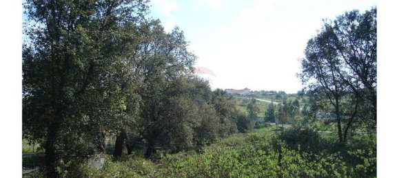 Terreno en Cartaxo, Portugal 4040 m² No. 90165 4