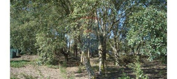 Terreno en Cartaxo, Portugal 4040 m² No. 90165 5