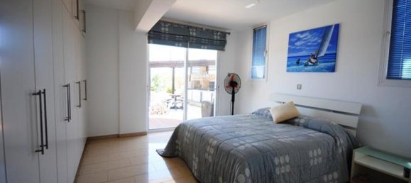4 غرف نوم فيلا في Paphos, Cyprus رقم 10536 6