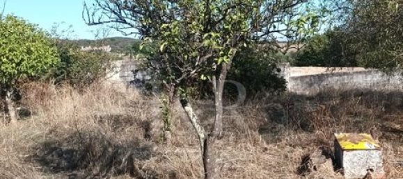 Terreno en Vila Vicosa, Portugal No. 147791 23