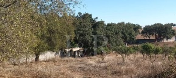 Terreno en Vila Vicosa, Portugal No. 147791 20