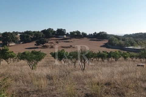 Terreno en Vila Vicosa, Portugal No. 147791