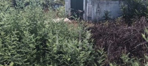 Terreno en Vila Vicosa, Portugal No. 147791 19