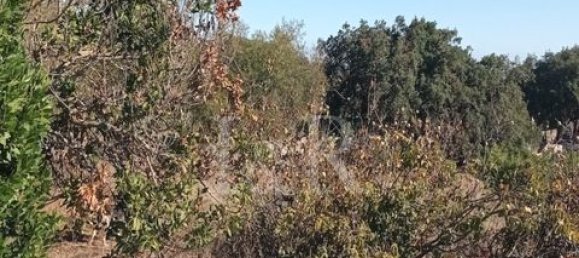 Terreno en Vila Vicosa, Portugal No. 147791 2