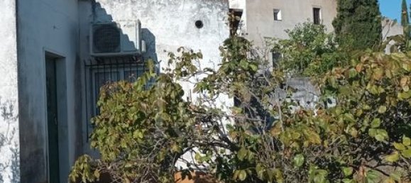 Terreno en Vila Vicosa, Portugal No. 147791 8