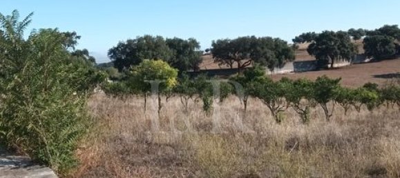 Terreno en Vila Vicosa, Portugal No. 147791 15