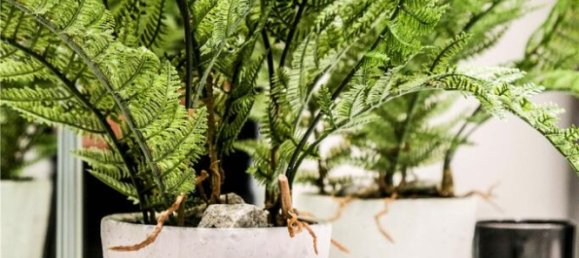 Квартира с 1 спальней в Кройдон, Великобритания № 8022 18