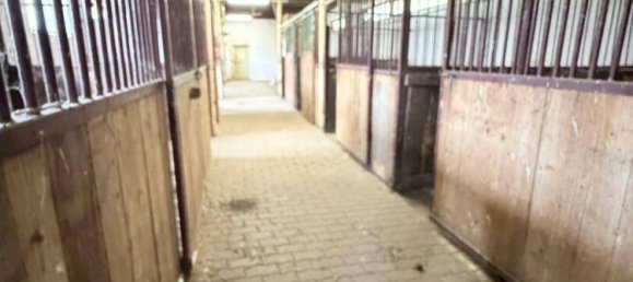 15966m² Land in Trumau, Austria No. 230961 12