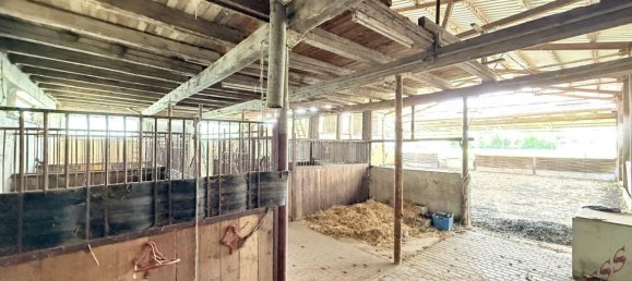 15966m² Land in Trumau, Austria No. 230961 11