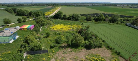 15966m² Land in Trumau, Austria No. 230961 3