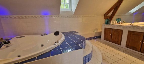 6 bedrooms House in Courcelles-de-Touraine, France No. 254984 8