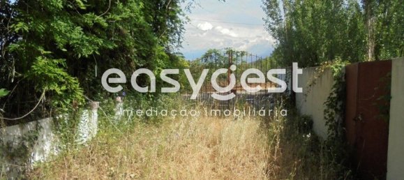 6 bedrooms House in Santa Margarida da Coutada, Portugal No. 141206 13