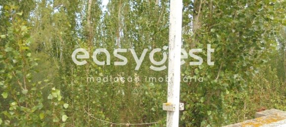 6 bedrooms House in Santa Margarida da Coutada, Portugal No. 141206 28