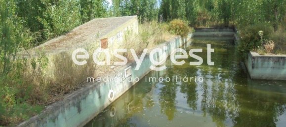 6 bedrooms House in Santa Margarida da Coutada, Portugal No. 141206 19