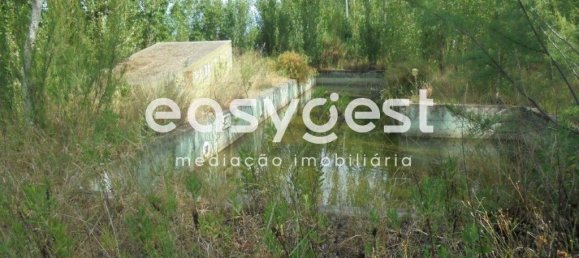 6 bedrooms House in Santa Margarida da Coutada, Portugal No. 141206 27