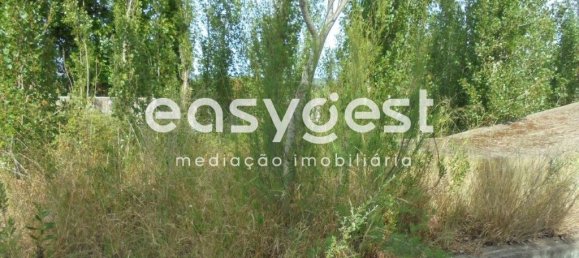 6 bedrooms House in Santa Margarida da Coutada, Portugal No. 141206 8