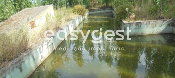 6 bedrooms House in Santa Margarida da Coutada, Portugal No. 141206 7