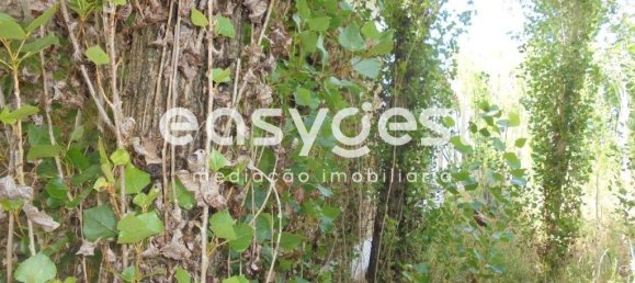 6 bedrooms House in Santa Margarida da Coutada, Portugal No. 141206 6