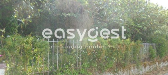 6 bedrooms House in Santa Margarida da Coutada, Portugal No. 141206 14