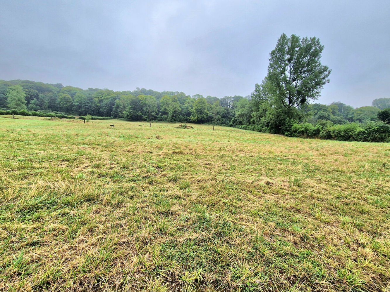  Land in Clenleu, France No. 209992
