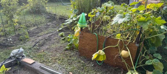  Land in Alt-Hohenschonhausen, Germany No. 334810 14