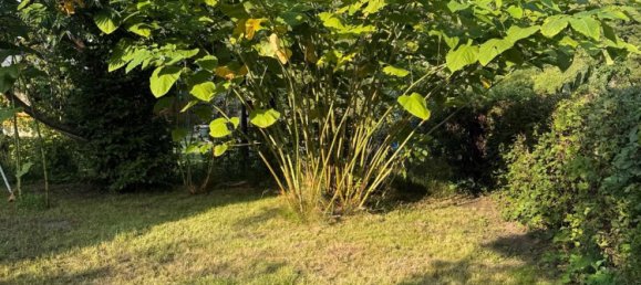  Land in Alt-Hohenschonhausen, Germany No. 334810 12