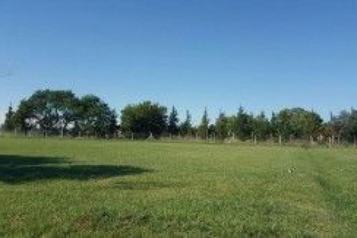 1500m² Commercial property in General Rodriguez, Argentina No. 104641