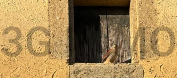 4 bedrooms House in Uzes, France No. 199094 23