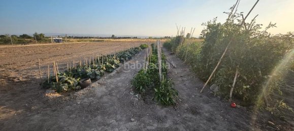 Terrain à Albolote, Spain 5699m² No. 141893 2