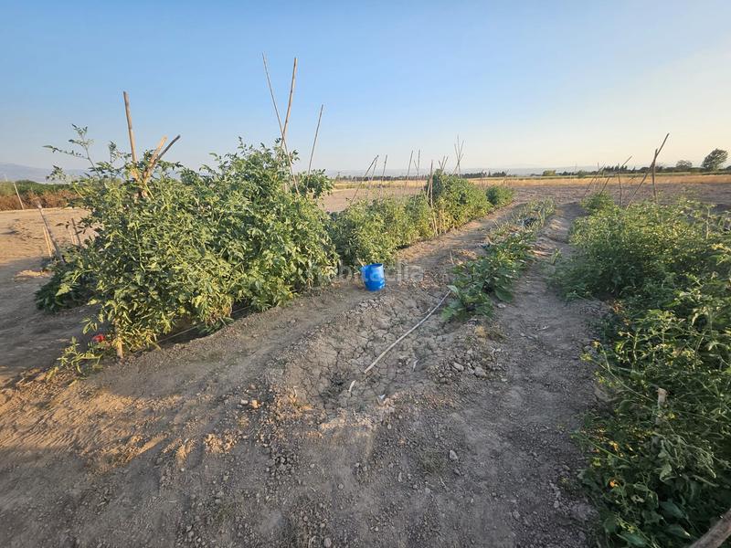 Terrain à Albolote, Spain 5699m² No. 141893