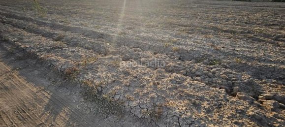 Terrain à Albolote, Spain 5699m² No. 141893 7