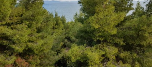 1 bedroom Villa in Chalkidiki, Greece No. 1180 2