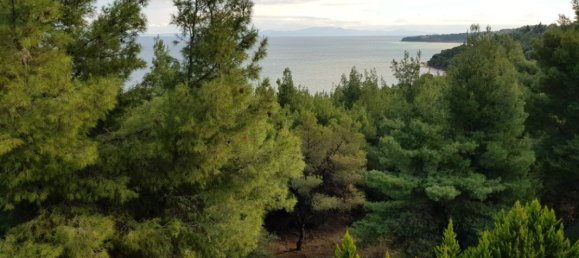 1 bedroom Villa in Chalkidiki, Greece No. 1180 4