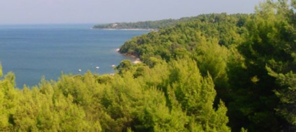 1 bedroom Villa in Chalkidiki, Greece No. 1180 8