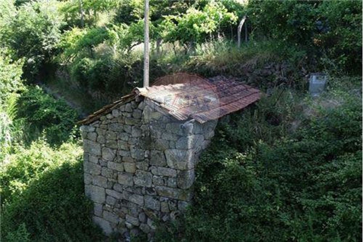 2 bedrooms House in Resende, Portugal No. 24757