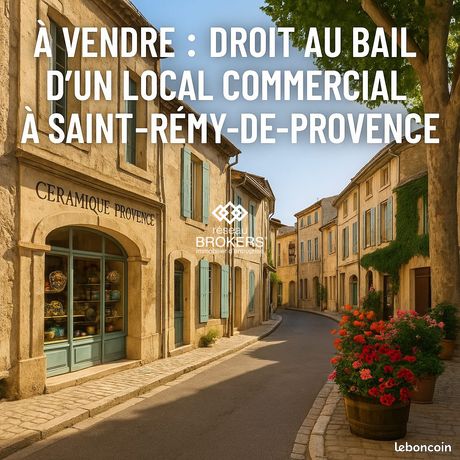  عقار تجاري في Saint-Remy-de-Provence, France 55متر مربع رقم 290597