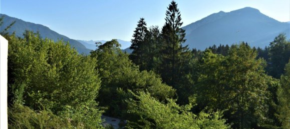 Studio in Bad Goisern am Hallstattersee, Austria No. 54970 6