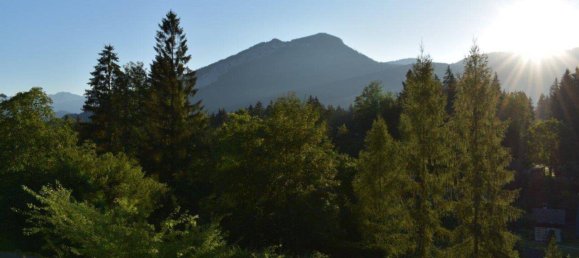 Studio in Bad Goisern am Hallstattersee, Austria No. 54970 4