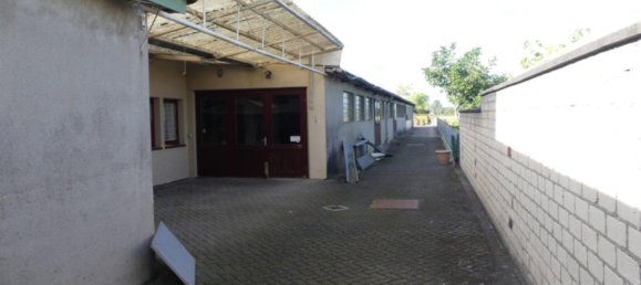 5 غرف نوم عقار تجاري في Kleve, Germany رقم 297627 4