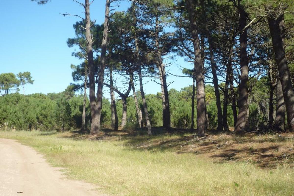 Земельный участок в Мар-дель-Плата, Аргентина № 113030