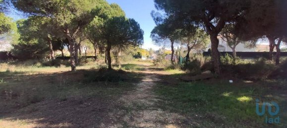Terreno en Almancil, Portugal 890 m² No. 107380 10