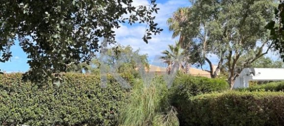 4 bedrooms House in Palmela, Portugal No. 119176 3