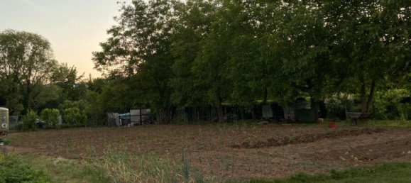 Terrain à Edenkoben, Germany No. 219189 4