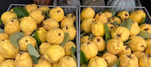 Terrain à Edenkoben, Germany No. 219189 8