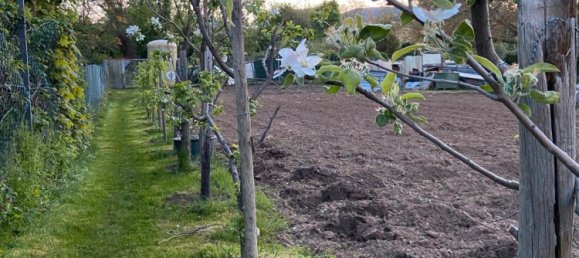 Terrain à Edenkoben, Germany No. 219189 9