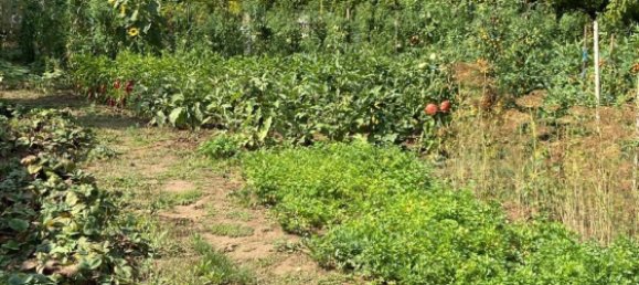 Terrain à Edenkoben, Germany No. 219189 13