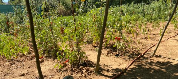 Terrain à Edenkoben, Germany No. 219189 12