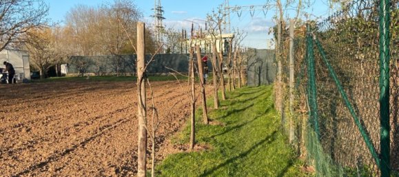 Terrain à Edenkoben, Germany No. 219189 10