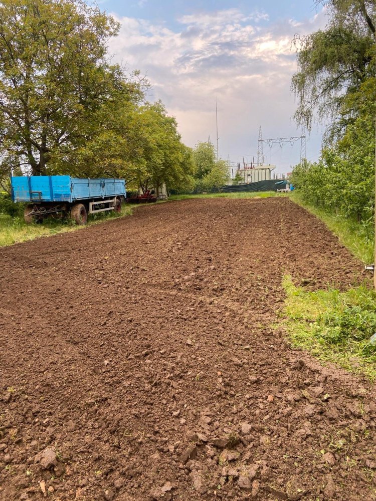 Terrain à Edenkoben, Germany No. 219189