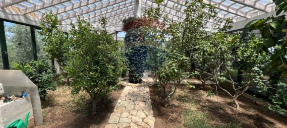 5 chambres Villa à Miglionico, Italy No. 347985 12